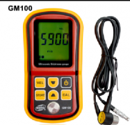 GM100